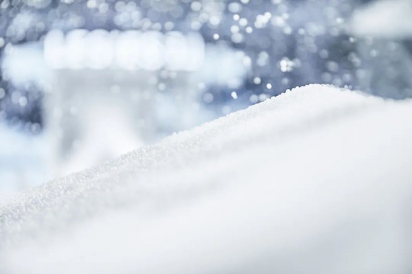 超现实异想| LESIES 2020冬新品发布会圆满落幕