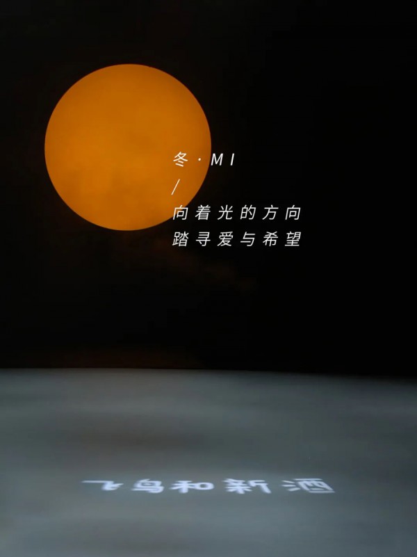 飞鸟和新酒 - AVVN