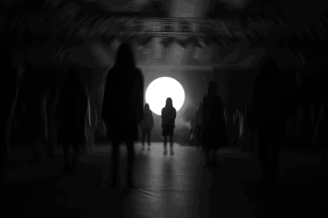 飞鸟和新酒2020冬新品发布会“冬·MI”