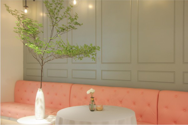 37°花花世界 | 叶界“爱马仕”来了~随手一拍都是风景!