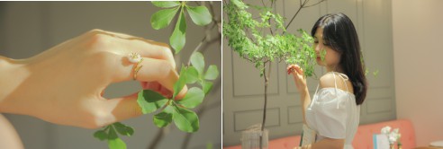 37°花花世界 | 叶界“爱马仕”来了~随手一拍都是风景!