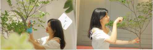 37°花花世界 | 叶界“爱马仕”来了~随手一拍都是风景!