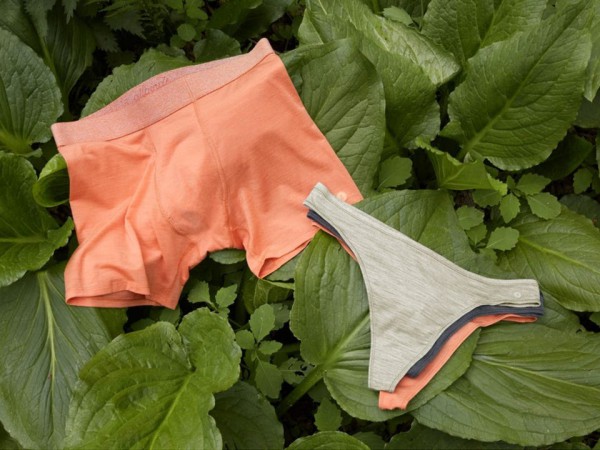 Allbirds推出新内衣系列  探索新的可再生材料