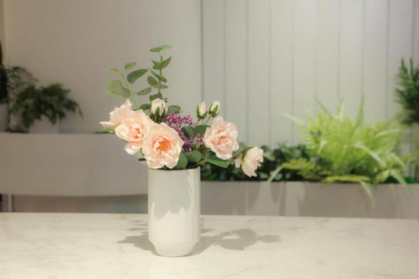 37°消费有礼 | 承包你一年四季的花