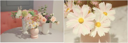 37°消费有礼 | 承包你一年四季的花