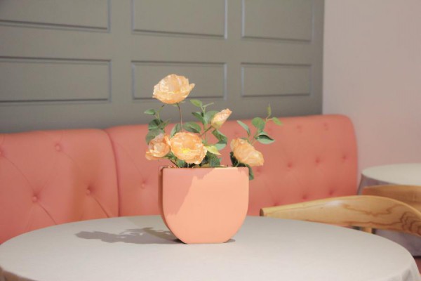 37°消费有礼 | 承包你一年四季的花