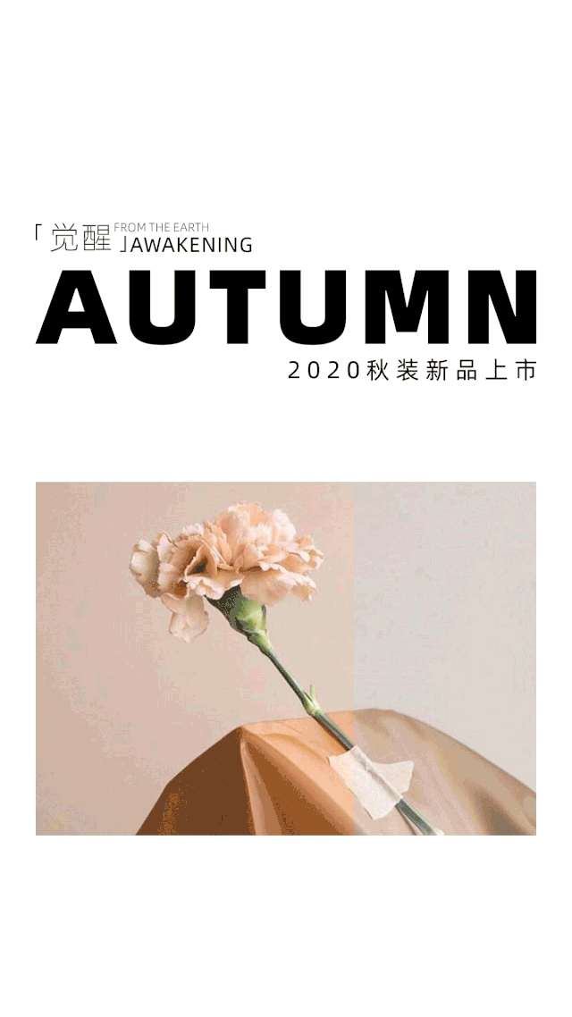 伊袖服饰2020秋季新品与您相遇