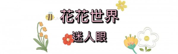 泡泡袖显瘦又遮肉 时髦精们都在穿