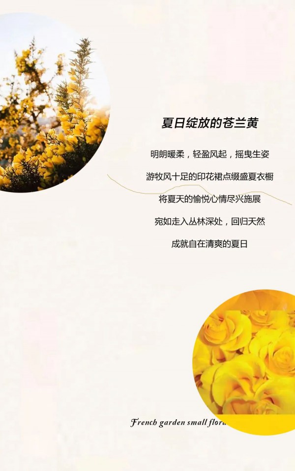 西纳维思女装苍兰黄 向“阳”而生的色彩