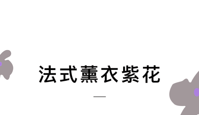 三彩新品来了 难以拒绝的绝美碎花裙