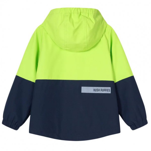 Hush Puppies童装秋款上新