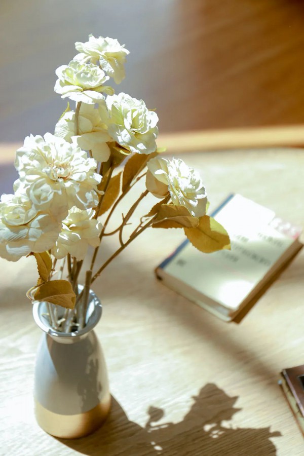 Carmen卡蔓初秋上新 大自然有些话只想说给你听