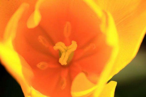 2020年秋季流行色彩推荐 又美又好看!