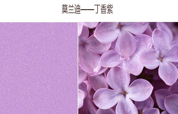 2020年秋季流行色彩推荐 又美又好看!