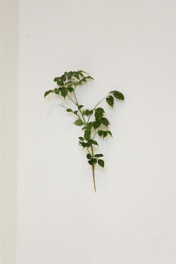 SANMIAO 2021春季「启示」新品发布会