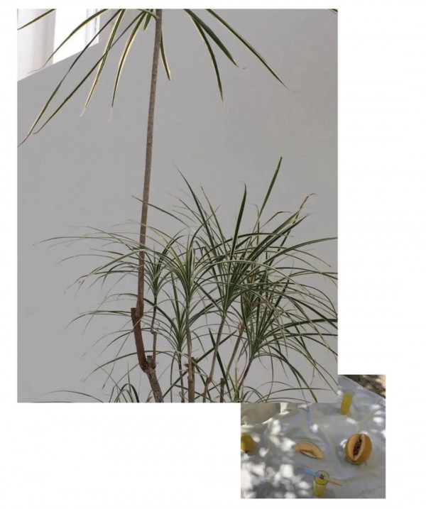 MC&ME 2021春季新品发布会完美收官