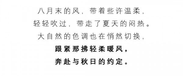 恬静悠然 在四季色彩中随意切换  ANOTHER ONE 20秋季新品