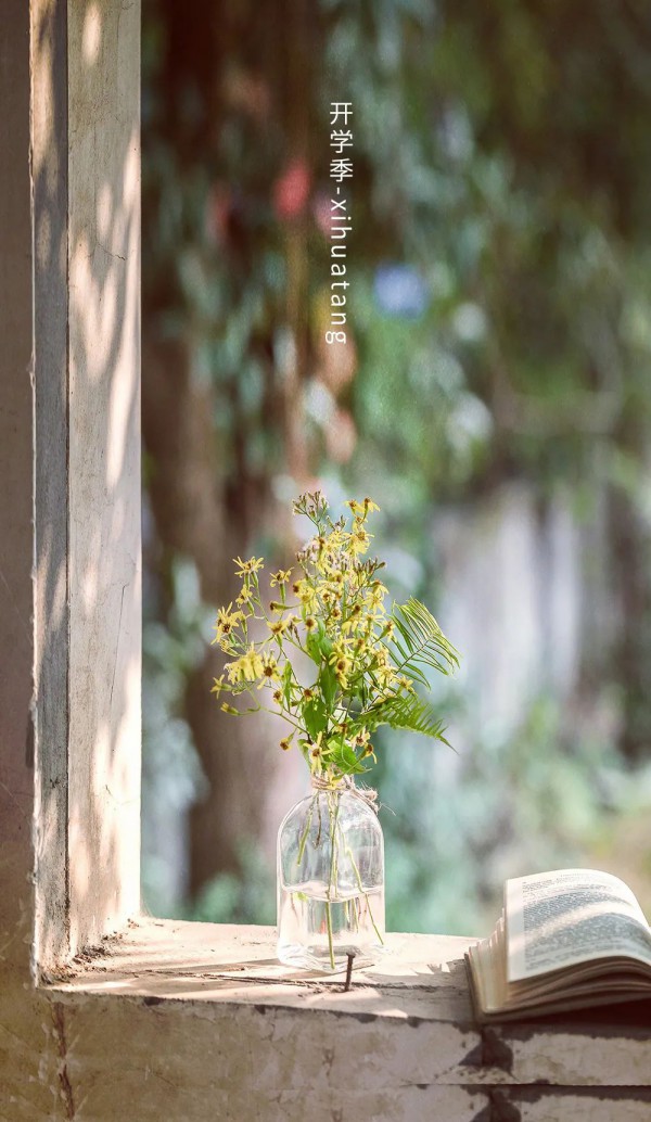 小孩开学穿什么衣服比较好 汐花糖开学季搭配推荐