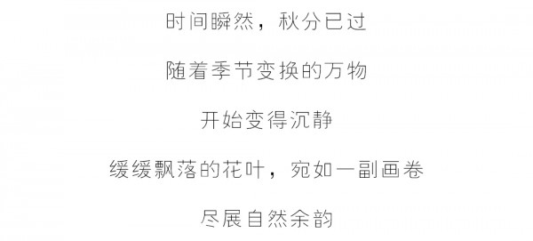 此刻平静 暖风和韵 | ANOTHER ONE 20秋季新品