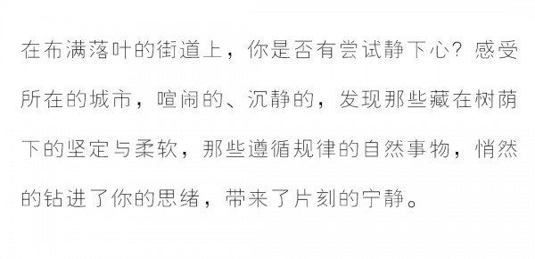 此刻平静 暖风和韵 | ANOTHER ONE 20秋季新品