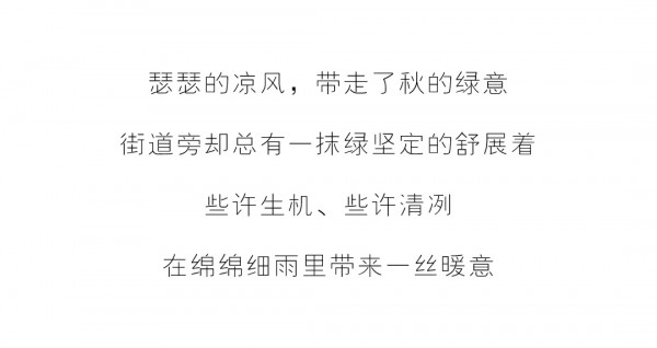 此刻平静 暖风和韵 | ANOTHER ONE 20秋季新品