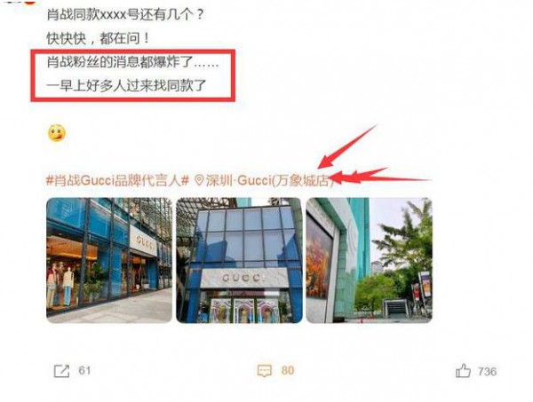 Gucci古驰星光官宣肖战为品牌代言人 肖战第三个高奢代言啦!