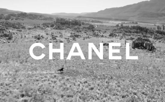 供职50年的CHANEL公关部元老离职其5亿美元媒介业务更换供应商