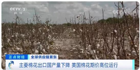 国际棉花逼近十年新高 服装出口企业面临诸多挑战