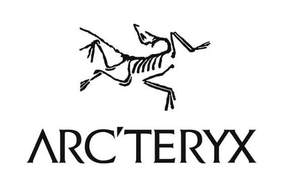 再创销售佳绩!京东运动11.11运动高潮日 高端羽绒服成交额同比增长3倍