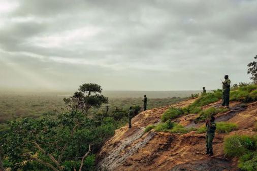 生物多样性成为全民焦点 奢侈品能做些什么?Burberry公布最新生物多样性战略