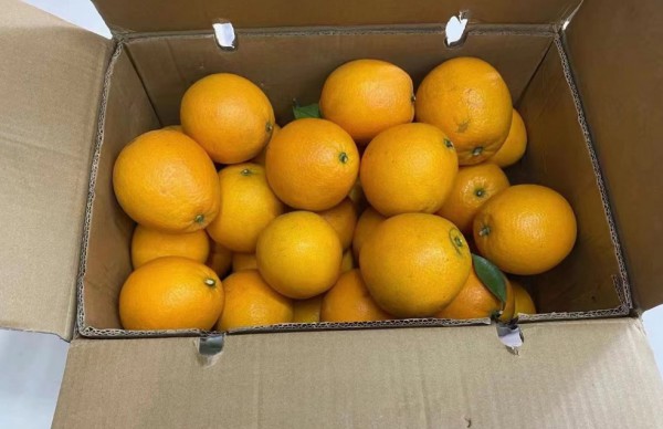 热烈祝贺江西刘女士欧诗雨内衣店开业大吉,同时感谢刘女士送来的赣南脐橙!