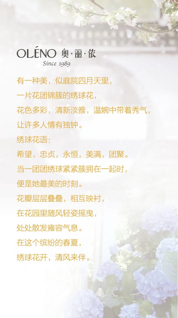 奥丽侬内衣-OLENO