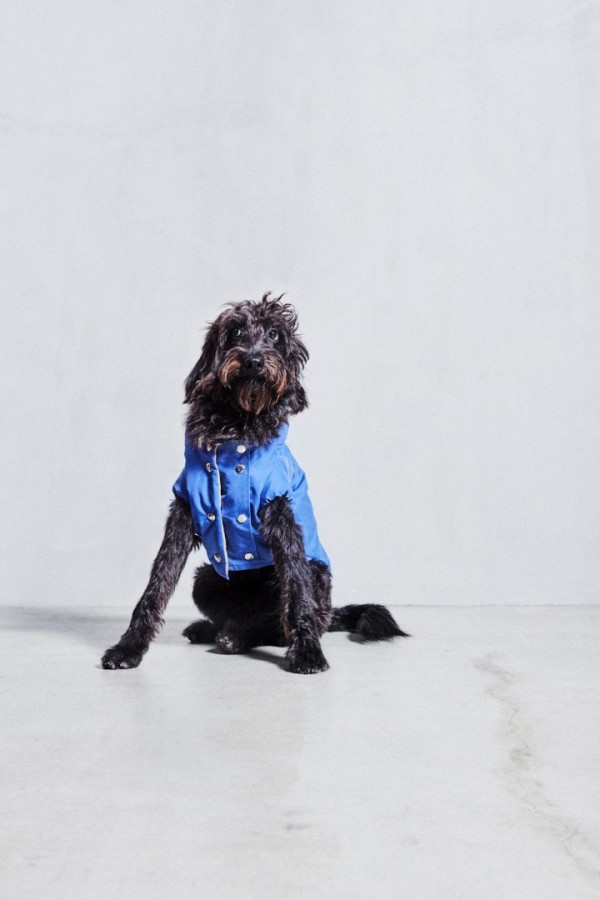 美国户外服装Woolrich携手 Temellini Dog à Porter 打造首个狗狗服饰系列