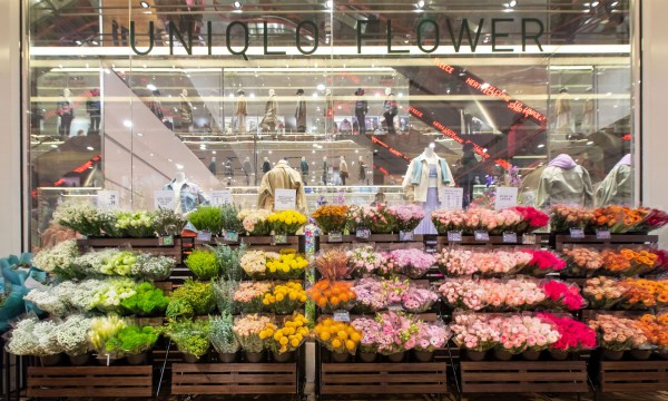 UNIQLO「生机花店」首次登录上海