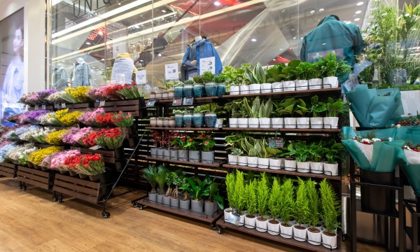 UNIQLO「生机花店」首次登录上海