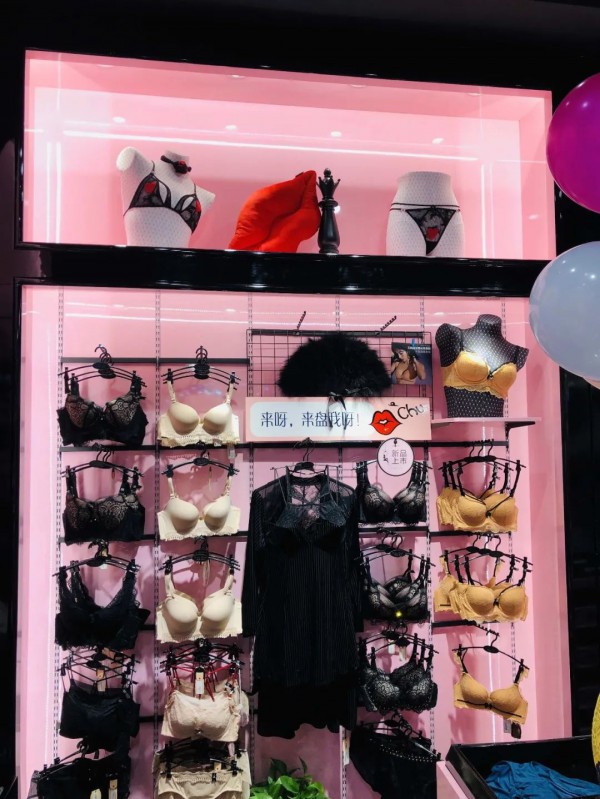 向阳而生,逆风翻盘——布迪设计优秀代理商专访