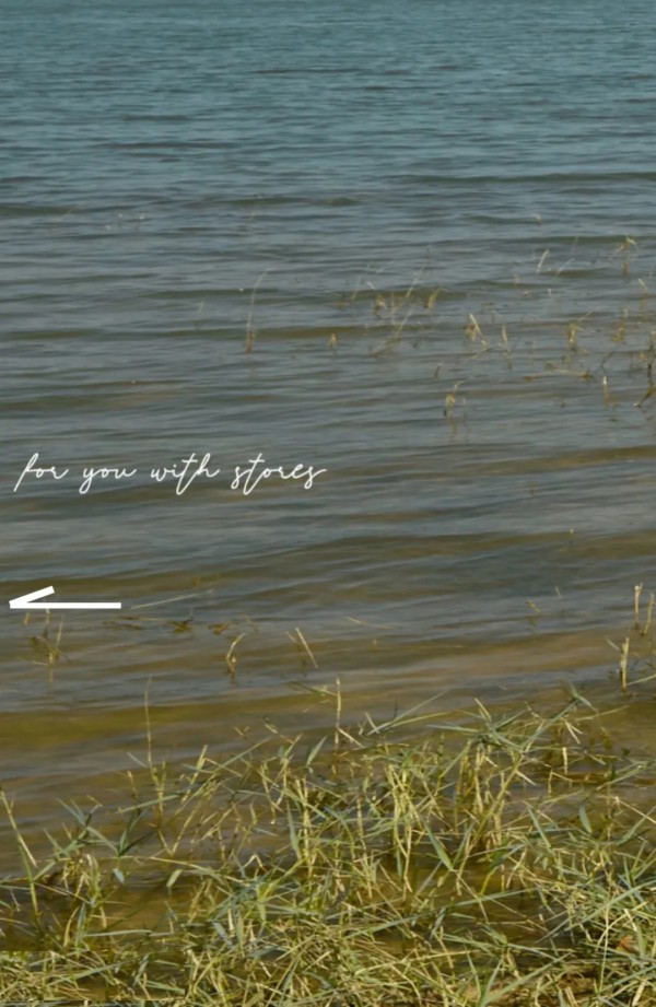 卡蔓2021年夏季大片  风格由“你”表述