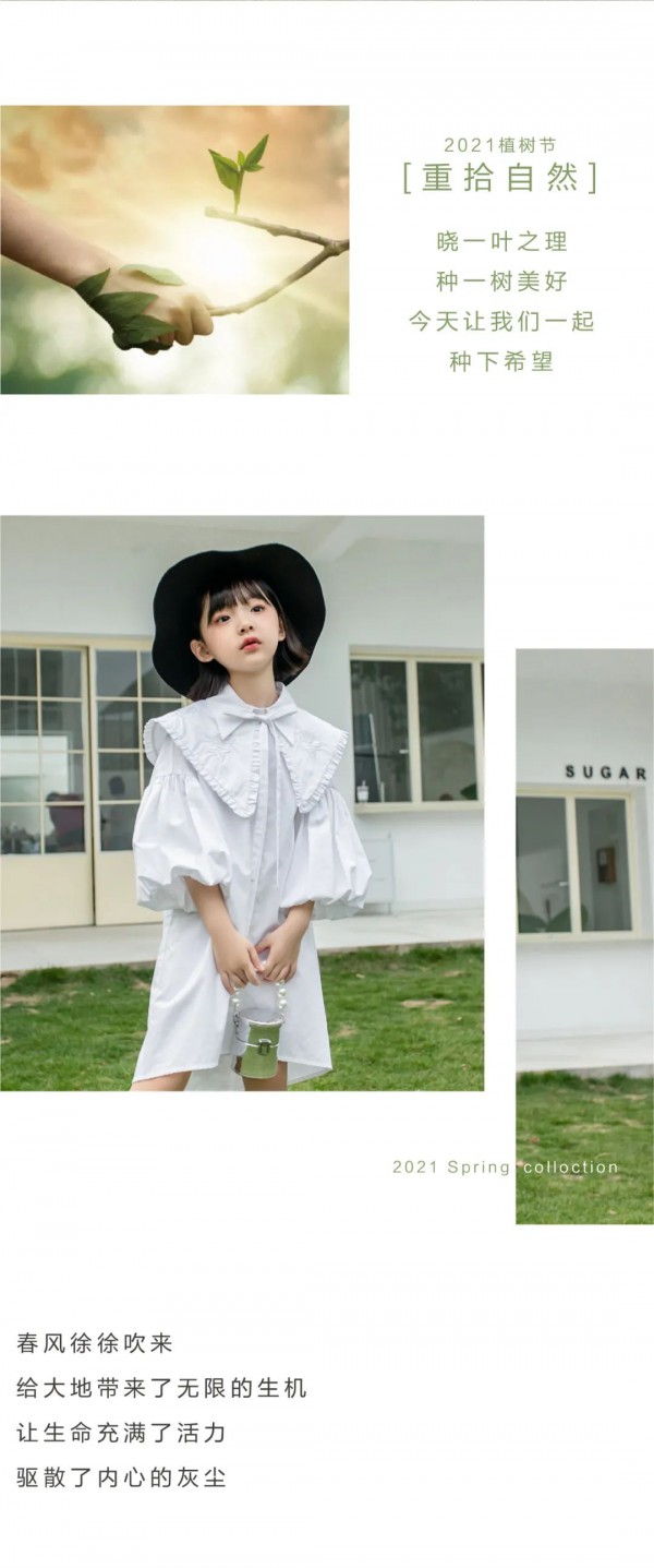 重拾自然,宝儿汪--春日的色彩表达