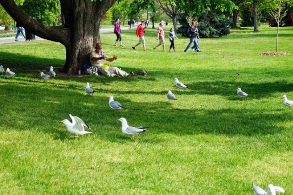 春天如何为宝宝挑选一件合适的新衣?