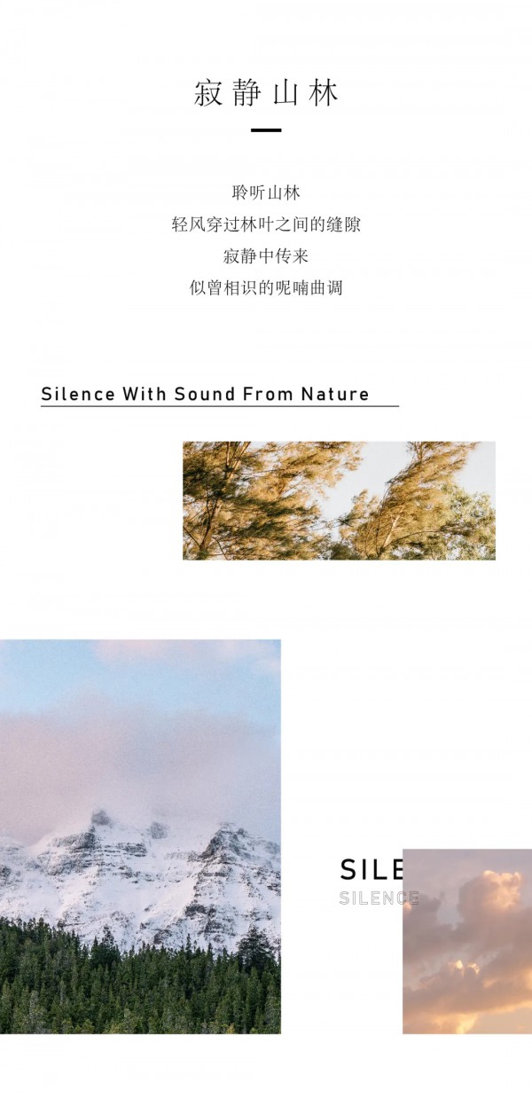 寂静山林/2021夏二新品上市!