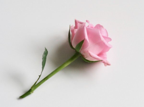 七夕服装门店有哪些促销活动?情人节服装门店最吸引人促销方案