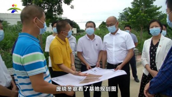 吴川市加快形成羽绒产业发展集聚化和现代产业体系