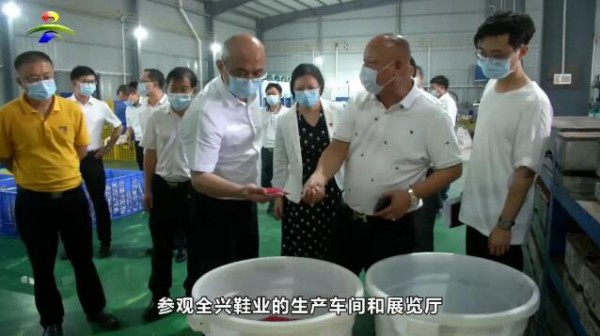 吴川市加快形成羽绒产业发展集聚化和现代产业体系