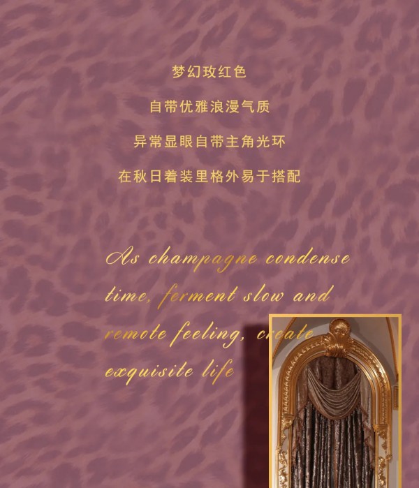 NEWFOUND纽方| 惊艳,美不胜收