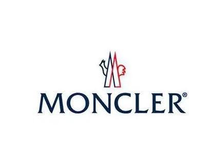 蒙口羽皇等赔偿原告经济损失500万元