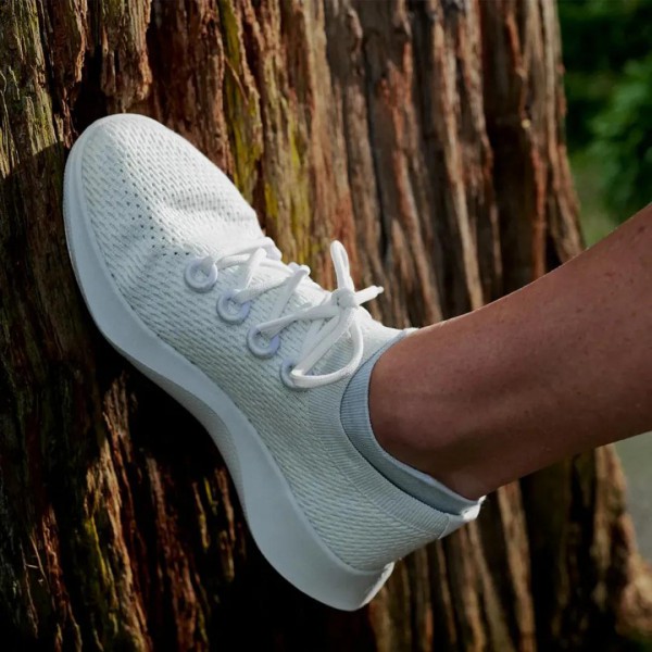 业绩不行环保来撑场 DTC三大新股Allbirds表现最差