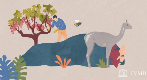 LVMH 和 Kering 两大奢侈品巨头 先后宣布保护生物多样性的最新举措