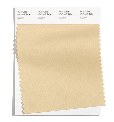 Pantone公布2022年纽约时装周春季色彩趋势报告