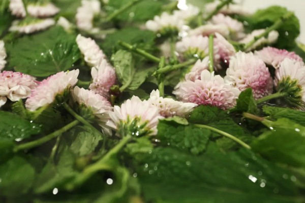 万物清欢 | ZAIN 2022 SPRING / SUMMER 形上新品发布