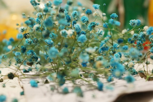 万物清欢 | ZAIN 2022 SPRING / SUMMER 形上新品发布